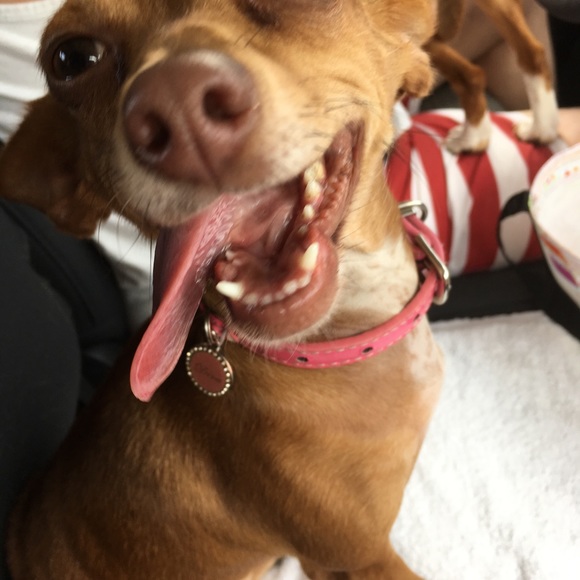 Meet your Posher, Rebecca - Picture 6 of 8